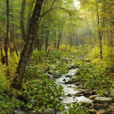 bb贝博官方平台下载截图