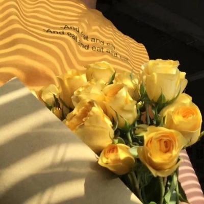 im电竞官方网站下载手机版